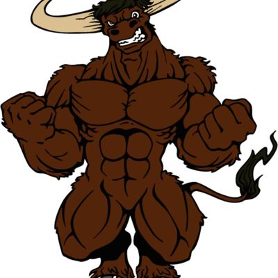 bull2 Thumbnail