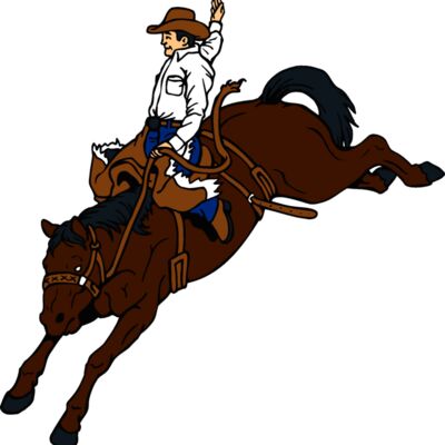 cowboyride4 Thumbnail