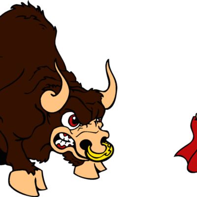 matadorbull1 Thumbnail