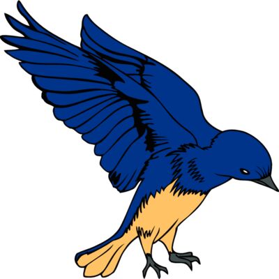 idahobluebird1 Thumbnail