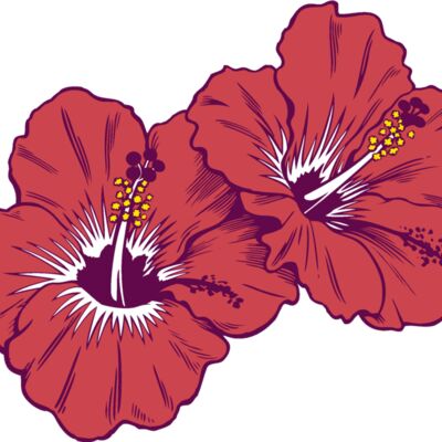 es3tropical02clr Thumbnail