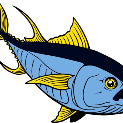 fish tuna Thumbnail
