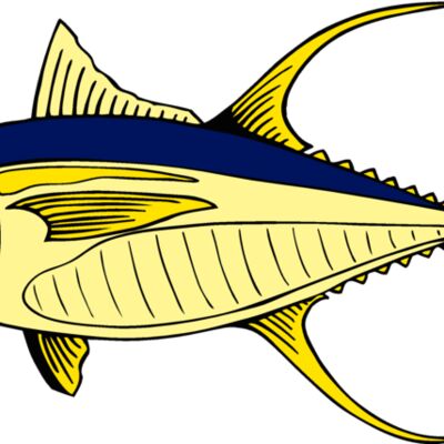 fish yellowfintuna Thumbnail