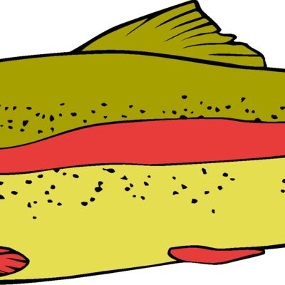 fish rainbowtrout02 Thumbnail