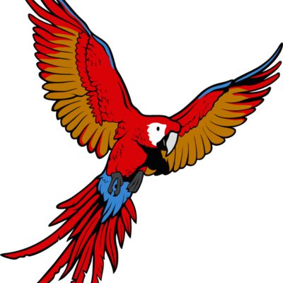 es3parrot01clr Thumbnail