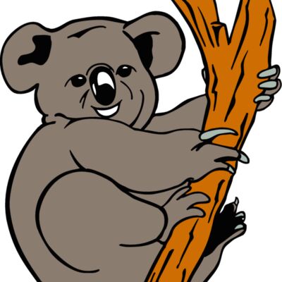 koala4 Thumbnail