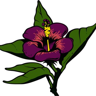 es3tropical01clr Thumbnail