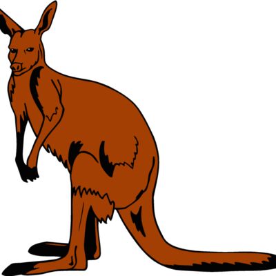 kangaroo1 Thumbnail