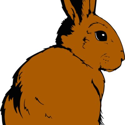 cottontail Thumbnail