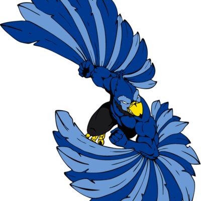bluejay1 Thumbnail