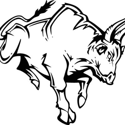 bull08v4bw Thumbnail