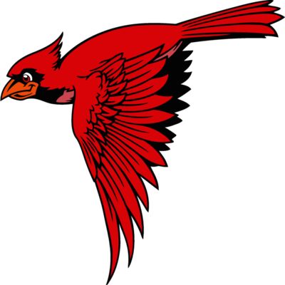 cardinal02v4clr Thumbnail