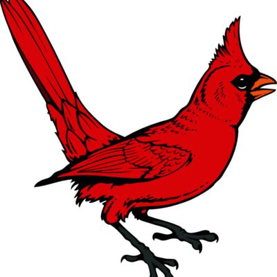 cardinal04v4clr Thumbnail