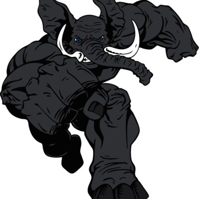 elephantmsct5 Thumbnail