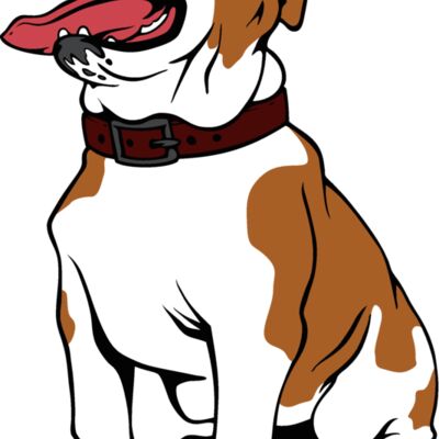 bulldog16v4clr Thumbnail