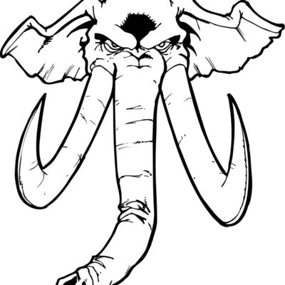 elephanthead04 Thumbnail