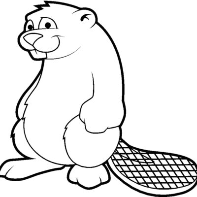 beaver2 Thumbnail