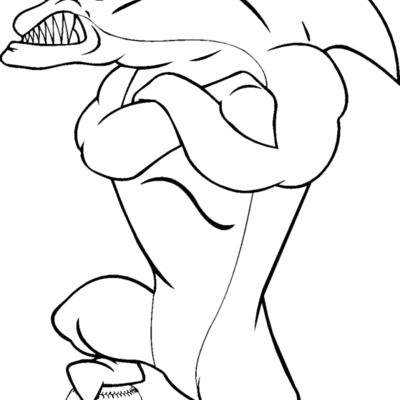 dolphinbsblbns Thumbnail