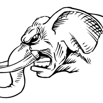 elephanthead06 Thumbnail