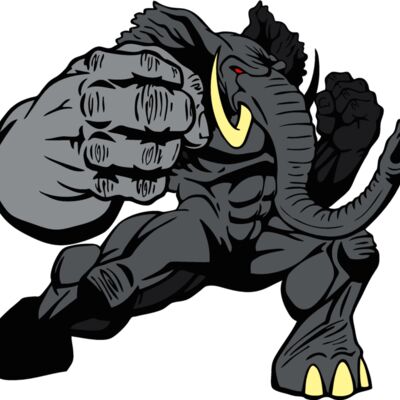 righteouselephant Thumbnail