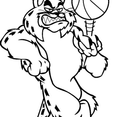 bobcatbskblbns2 Thumbnail