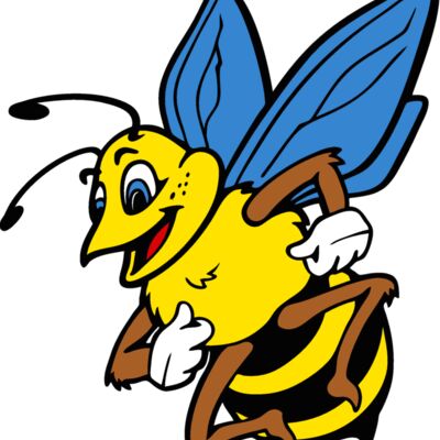 bee04v4clr Thumbnail