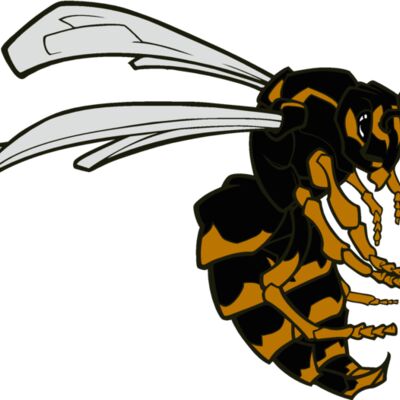 bee01v4clr Thumbnail