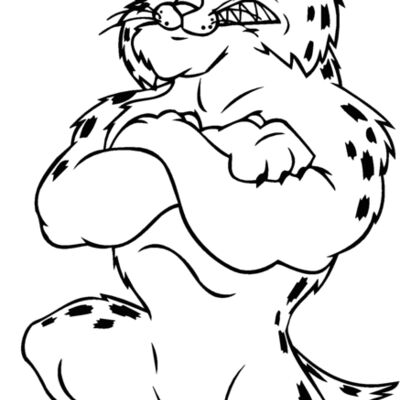 bobcatvllyblbns Thumbnail