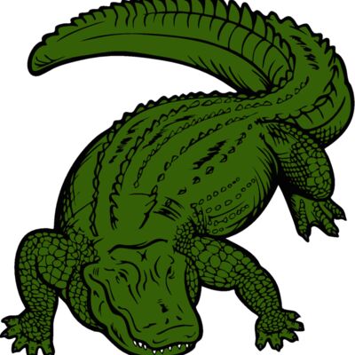 gator01v4clr Thumbnail