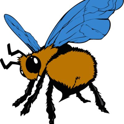 bee05v4clr Thumbnail