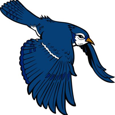 bluejay9 Thumbnail