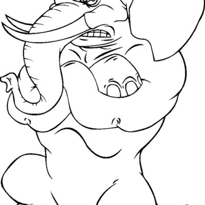 elephntvlybns Thumbnail