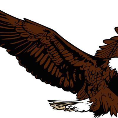 eagle15v4clr Thumbnail