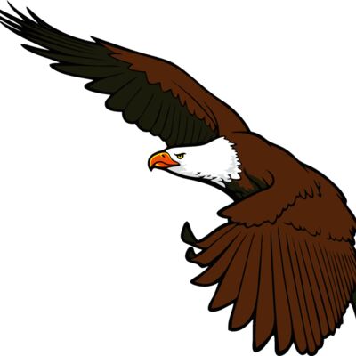 eagle04 Thumbnail