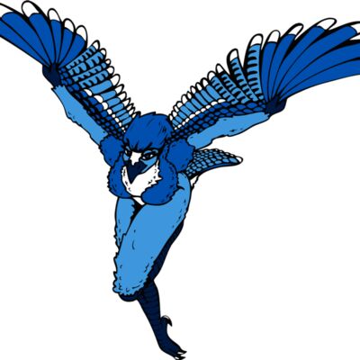 bluejaygirl Thumbnail