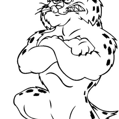 bobcatftblbns Thumbnail