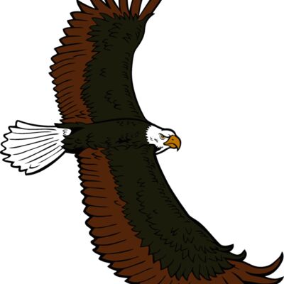 eagle05v4clr Thumbnail