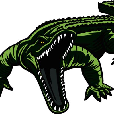 alligatorm13 Thumbnail