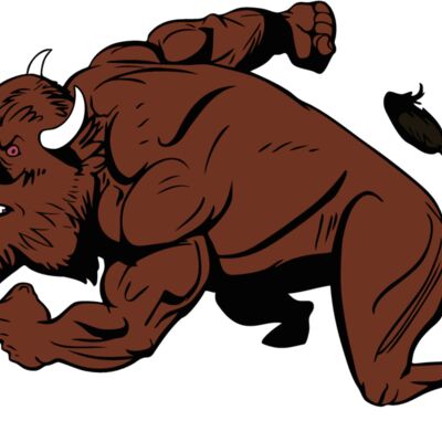 bisonmsct03 Thumbnail