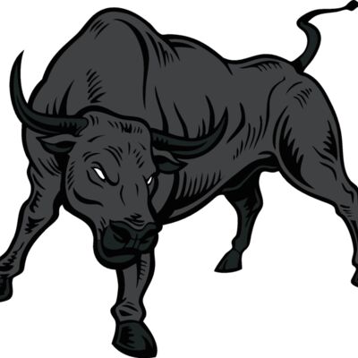 bull11v4clr Thumbnail