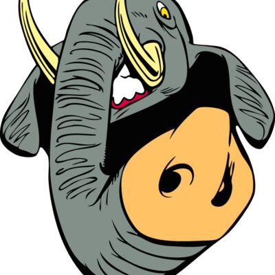 elephanthead10 Thumbnail