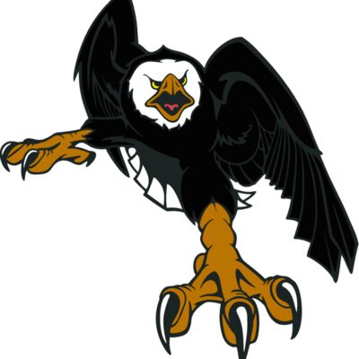 eagle08v4clr Thumbnail