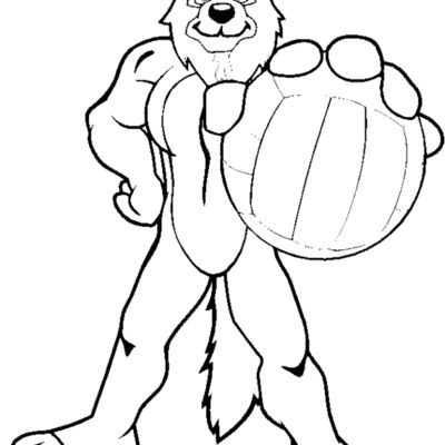 dogvolleyball Thumbnail