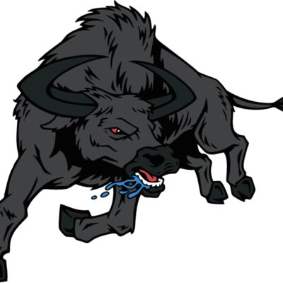 bull03v4clr Thumbnail