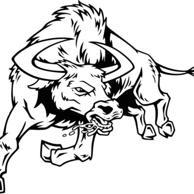 bull03v4bw Thumbnail