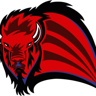 buffaloj011 Thumbnail