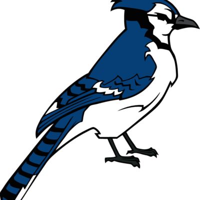 bluejay12 Thumbnail