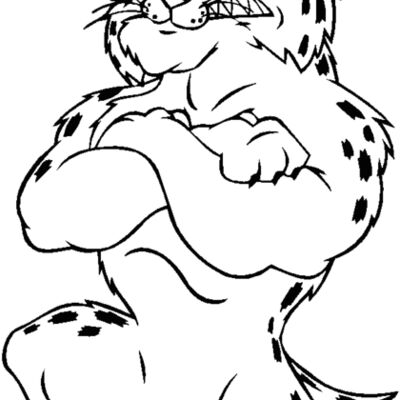 bobcatbwlbns Thumbnail