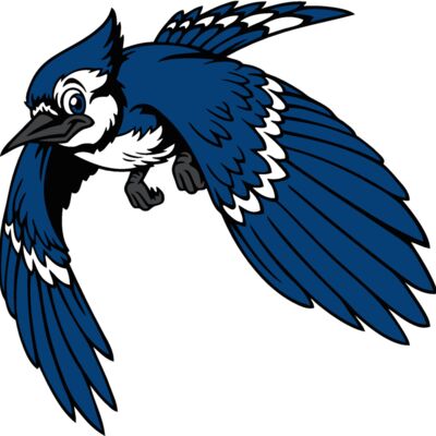 bluejay13 Thumbnail