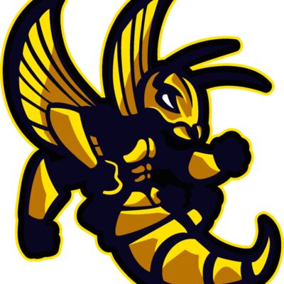 hornets011 Thumbnail